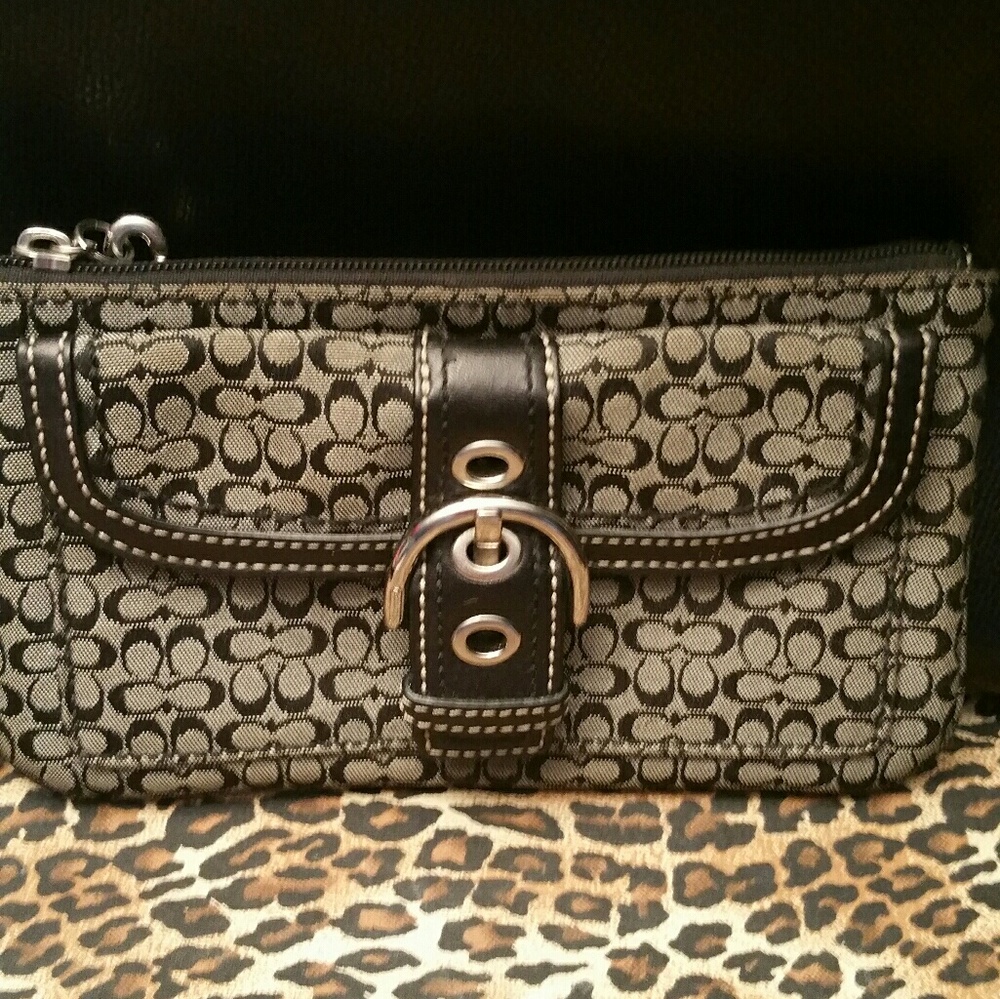 Coach mini